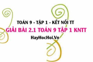 Bài 2.1 Toán 9 tập 1 SGK Kết nối tri thức